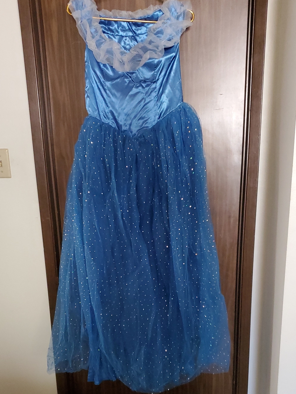 Adult Cinderella Dress Tull Skirt In  Blue  Dress Is Lined For Comfort